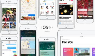 軟件系統(tǒng)資訊與專(zhuān)業(yè)軟件咨詢(xún)服務(wù) 驅(qū)動(dòng)企業(yè)數(shù)字化轉(zhuǎn)型的雙引擎